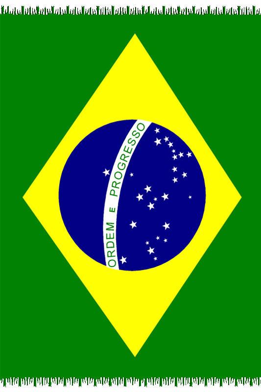 Brazil Flag Sarong - Fashion Brazil 